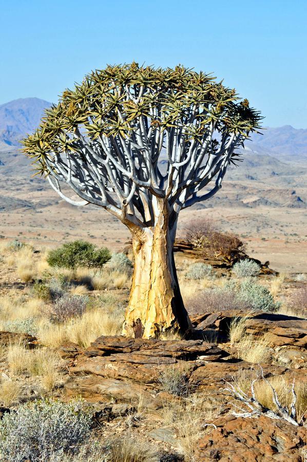 Namibs Valley Lodge Gamsberg Pass Exterior foto